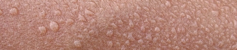 gouttes de transpiration sur peau humaine. foto: Minghong, CC-BY-SA-3.0, via Wikimedia Commons